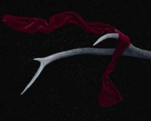 The Download: the US digital rights crackdown, and AI companionship