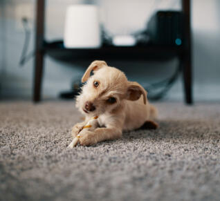 GoldenRatioed
